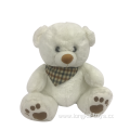 Plush Teddy Bear White